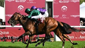 Daryz sacré dans le Qatar Prix de l'Arc de Triomphe 2025. (Illustration)