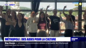 Trois établissements culturels de la métropole de Lyon vont bénéficier d'aides de l'Etat