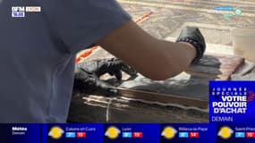 Rhône: découvrez les mosaïques à Saint-Romain-en-Gal