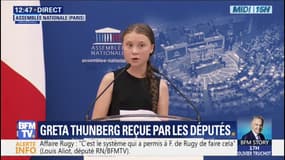 Greta Thunberg: "Depuis que j'ai commencé à vous parler, le monde vient d'émettre 800 000 tonnes de Co2"