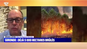Gironde: déjà 5 000 hectares brûlés - 10/08