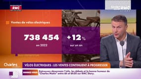 Le vélo électrique continue de bien se vendre et tire le marché vers le haut