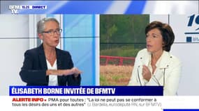  Élisabeth Borne annonce "un décret qui interdira deux nouvelles substances néonicotinoïdes"