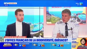 Provence: quelles sont les missions de l'OFB?