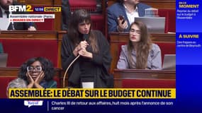 Budget : "Vous êtes complètement fous !" coup de gueule à l'Assemblée