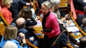 L'ancienne Première ministre, Élisabeth Borne, à l'Assemblée nationale le 22 octobre 2024 