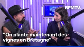  Sécheresse, canicule, pluies... À quoi ressemblera notre agriculture en 2050?
