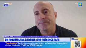 Requin blanc à Hyères: "Une espèce très rare sur les eaux du golfe du Lion"