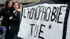 Une manifestation à Toulouse le 17 novembre 2012 (photo d'illustration). 