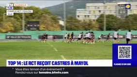 Top 14: le RCT reçoit Castres au Stade Mayol
