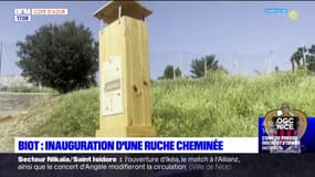 Biot: inauguration d'une ruche cheminée dans une école