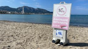 La baignade est interdite sur les plages de la Pointe-Rouge et de l'Huveaunne, à Marseille, le 5 juin 2023. 