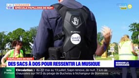 Manche: des sacs à dos pour permettre aux personnes sourdes de ressentir la musique au festival Papillons de nuit