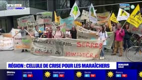 Manifestation des maraîchers à Lille: une cellule de crise organisée pour apporter des solutions à la filière fortement touchée par la tempête Eunice