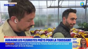Aubagne: ce fleuriste se prépare pour les grosses ventes de la Toussaint