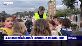 Des enfants végétalisent La Brague contre les inondations