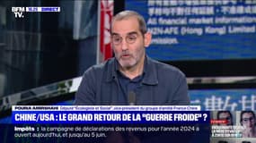 Droits de douane: "Il ne faut pas être les idiots utiles de Donald Trump", estime Pouria Amirshahi (Écologiste et social) 