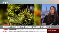 Comment recycler son sapin de manière originale?
