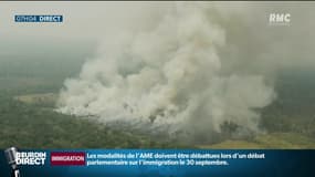 "Un gouvernement du côté du dérèglement climatique", au Brésil, les associations écologistes continuent de tirer la sonnette d’alarme