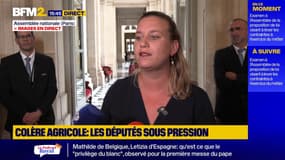 Loi agricole: Mathilde Panot dénonce "un 49.3 déguisé"