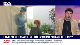 Un hybride du variant Omicron: doit-on avoir peur du variant "Frankenstein" du Covid-19 ?