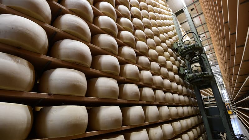 Nueva Castelli est le premier exportateur italien de parmesan