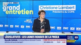 Christiane Lambert (COPA) : Législatives, les craintes des agriculteurs - 18/06