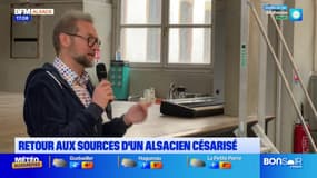 Colmar: un alsacien césarisé de retour dans son ancien lycée