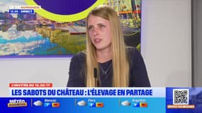 Orne: Claire Macé, 23 ans, produit du lait de jument percheronne