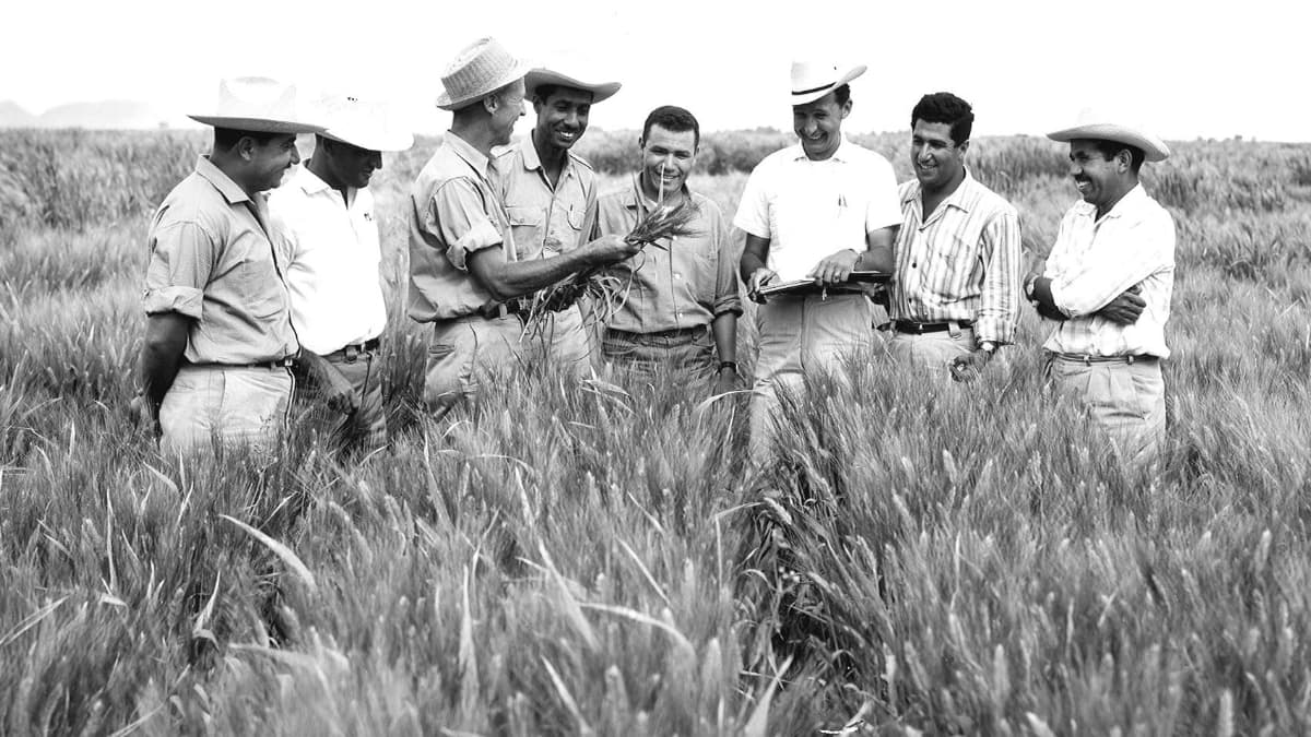 En exportant au Mexique et en Inde le modèle de l'agriculture intensive de la révolution verte, l'agronome Norman Borlaug (prix Nobel de la paix 1970) aurait permis de sauver 1 milliard d'êtres humains. En exportant au Mexique et en Inde le modèle de l'agriculture intensive de la révolution verte, l'agronome Norman Borlaug (prix Nobel de la paix 1970) aurait permis de sauver 1 milliard d'êtres humains.