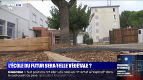 Hérault: à Lunel, des écoles végétalisées pour lutter contre les épisodes de canicule