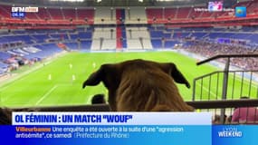 Arkema Première Ligue: une centaine de chiens assistent à OL-Paris FC