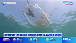 L'été chez nous du vendredi 30 août : Observez les fonds marins la Paddle House