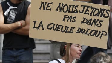 Plusieurs bergers, notamment d'Auvergne et de Champagne-Ardenne, ont décidé de venir crier leur désarroi à Paris face aux attaques des loups contre les ovins.