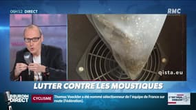 La chronique d'Anthony Morel : Lutter contre les moustiques - 01/07