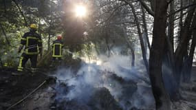 Des pompiers luttent contre les flammes à Pietracorbara, dans le Cap-Corse, le 12 août 2017