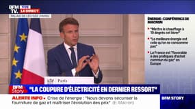 Emmanuel Macron: "Le choix le plus rationnel était de confirmer la fermeture" de la centrale de Fessenheim