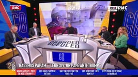 Léon XIV, un pape anti-Trump : "Peu importe le pape, ça reste mon chef spirituel"