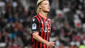 Dolberg