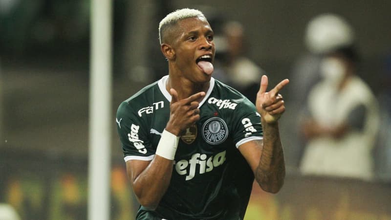 Danilo - Palmeiras 