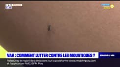 Var: comment lutter contre les moustiques?