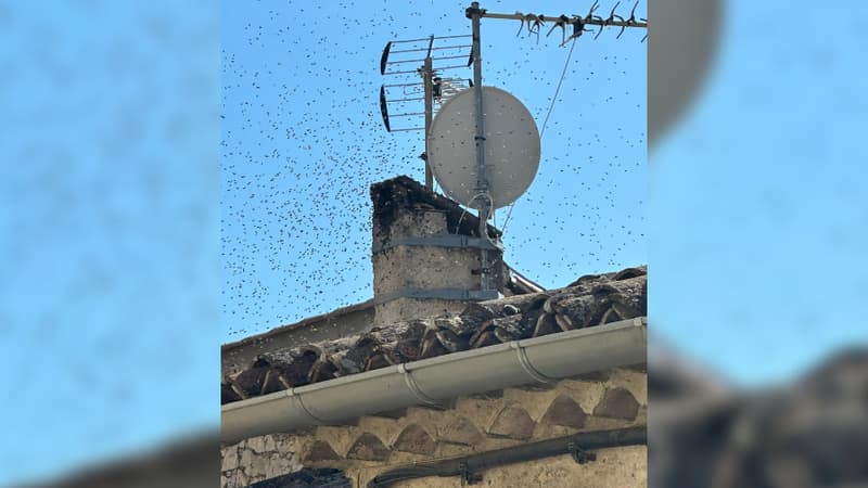 Alpes-de-Haute-Provence: un essaim d'abeilles dans une cheminée pose problème au voisinage à Gréoux-les-Bains