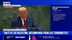 Guerre en Ukraine: "Il faut que les Européens mettent fin à l'achat de gaz et de pétrole russe", affirme Donald Trump