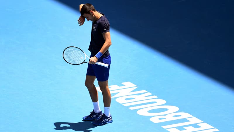 Australie: l'appel poignant des réfugiés à Djokovic après son séjour en hôtel de rétention