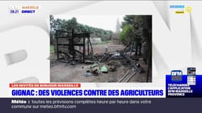 Violences paysannes à Gignac-la-Nerthe: des agriculteurs racontent les conséquences pour leur production