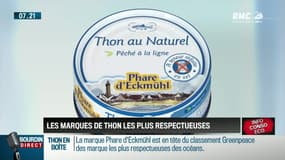 Dupin Quotidien : Les marques de thon les plus respectueuses des océans - 22/11