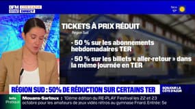 Région Sud:  une réduction de 50% des tarifs de TER jusqu'à vendredi
