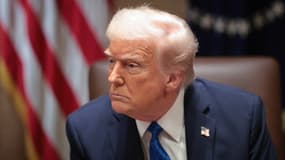Donald Trump dans la salle du Cabinet de la Maison Blanche, le 25 mars 2025 à Washington, DC.
