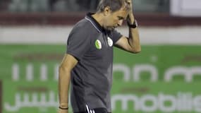 Milovan Rajevac, viré par l'Algérie