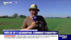 Températures estivales: "On a des cultures qui souffrent", affirme cet agriculteur dans le Nord